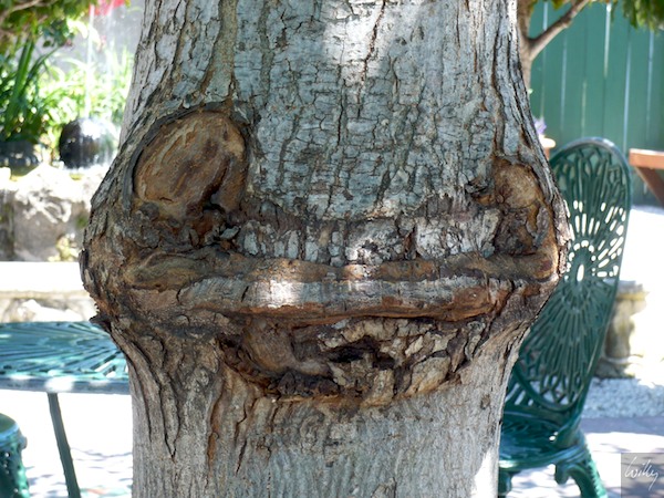 New Zealand 09 10  118